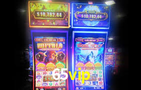 65vip.com